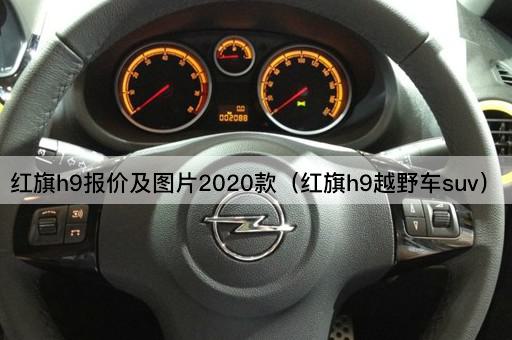 红旗h9报价及图片2020款（红旗h9越野车suv）