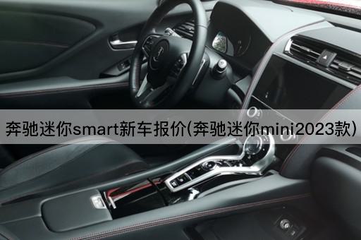 奔驰迷你smart新车报价(奔驰迷你mini2023款)