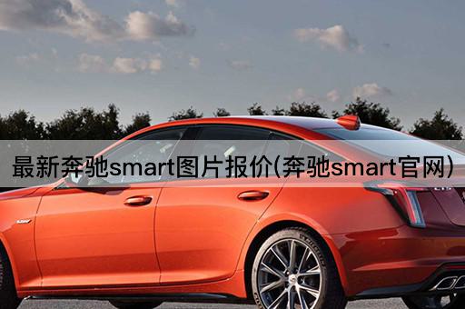 最新奔驰smart图片报价(奔驰smart官网)